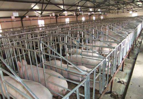 養(yǎng)豬場(chǎng)廢水處理系統(tǒng)方案定制哪家好-藍(lán)膜