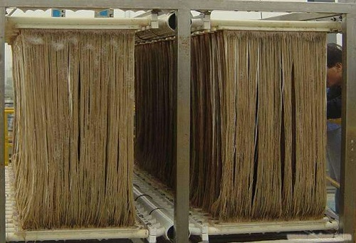 mbr膜進(jìn)水水質(zhì)要求是什么？-藍(lán)膜