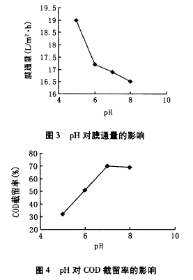 納濾膜，廢水滲透液，COD，去除效果