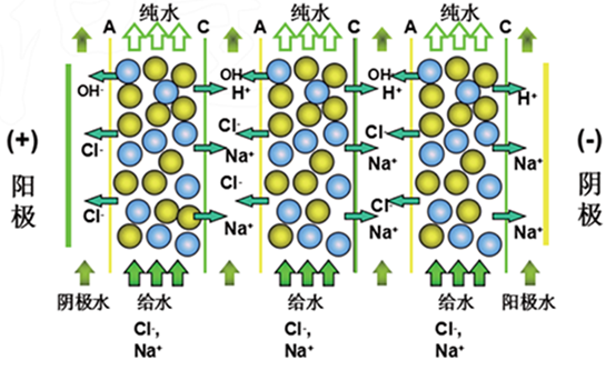  EDI模塊的工作原理以及原理圖展示--藍膜水處理